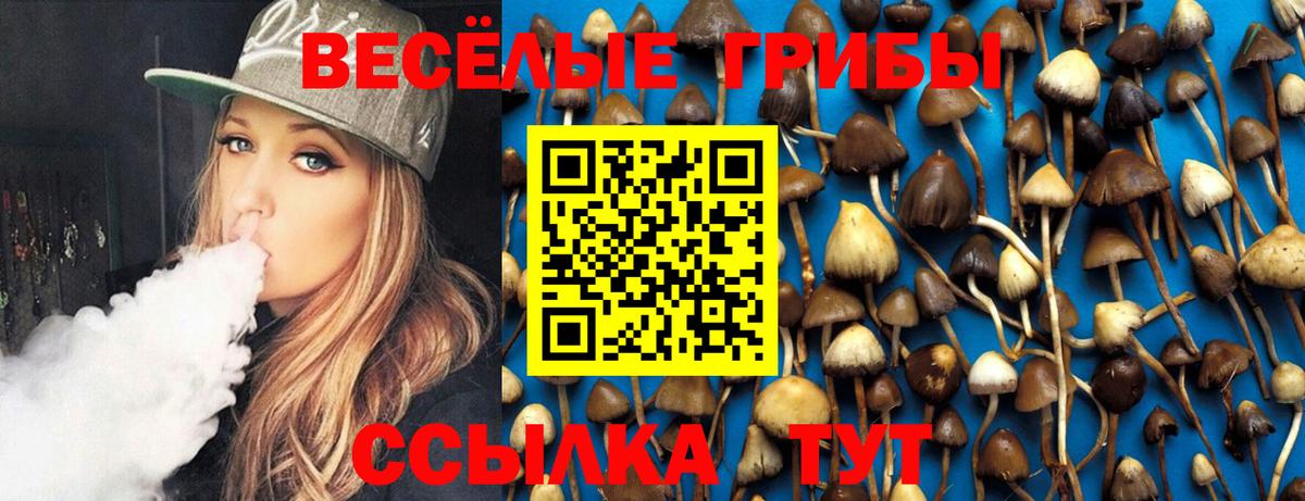 Псилоцибиновые грибы мухоморы Тулун